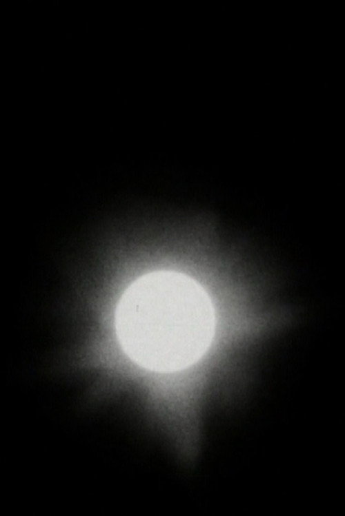 Movie poster for The Transit of Venus (2005)