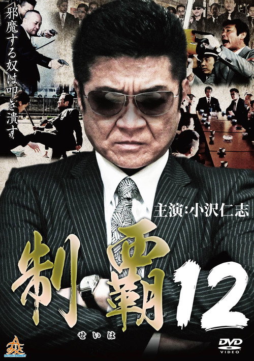 Movie poster for Conquest 12 (2017)