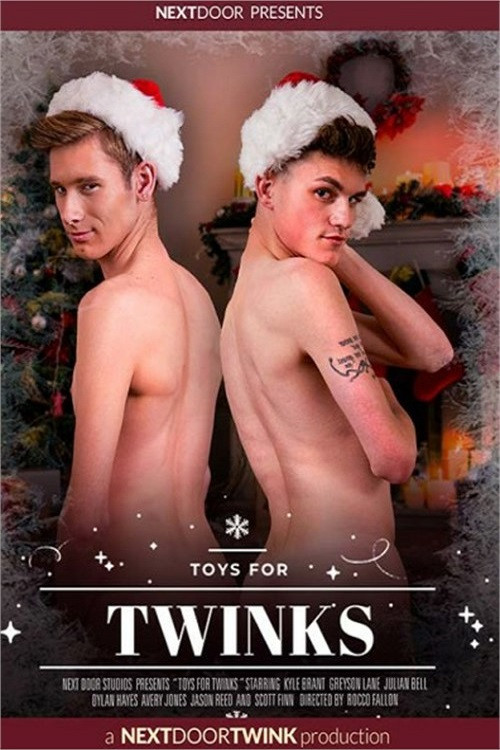 Movie poster for Toys For Twinks (2022)