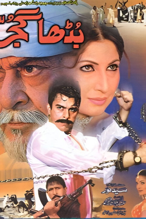 Movie poster for The Old Gujjar (2002)