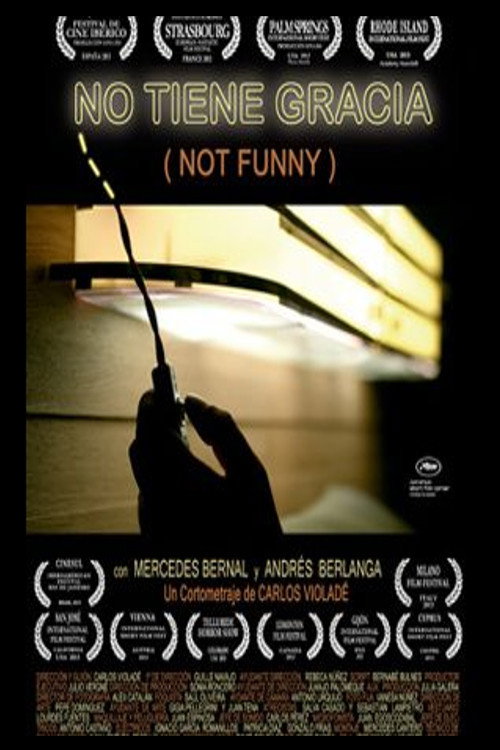 Movie poster for Not Funny (2012)