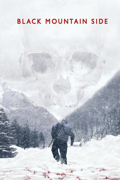 Movie poster for Black Mountain Side (2016)
