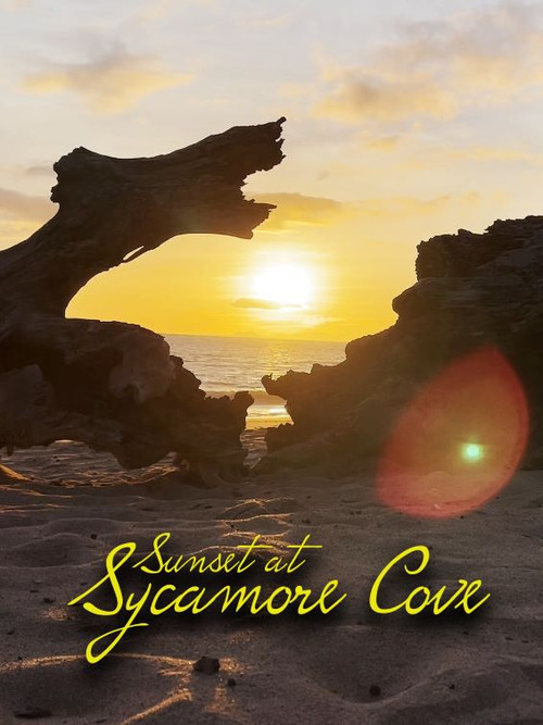 Movie poster for Sunset at Sycamore Cove