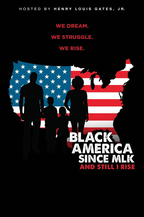 Movie poster for Black America since MLK: And still I rise (2016)