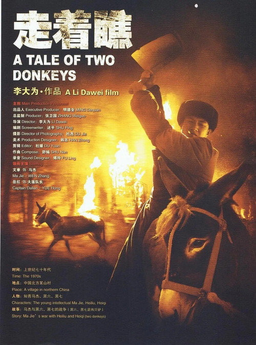 Movie poster for A Tale of Two Donkeys (2009)