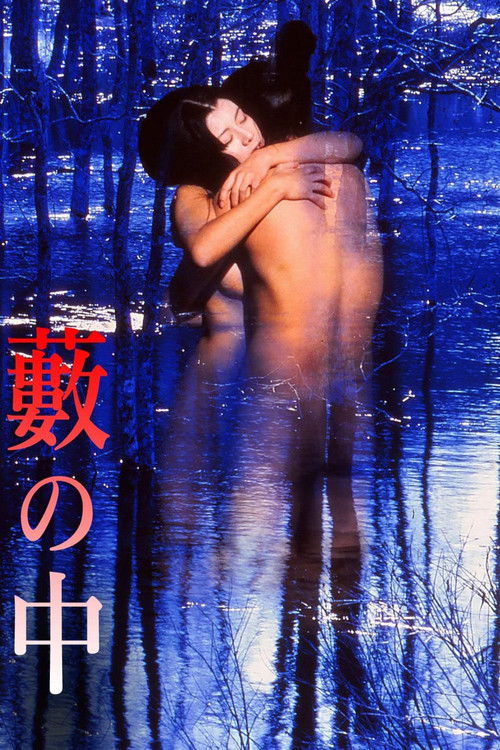 Movie poster for In a Thicket (1996)
