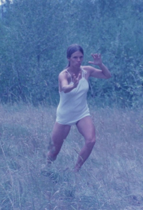 Movie poster for Tai Chi (1975)