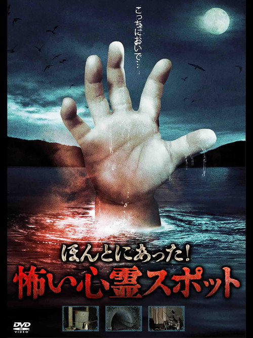 Movie poster for It Really Happened! Scary Psychic Spot (2010)