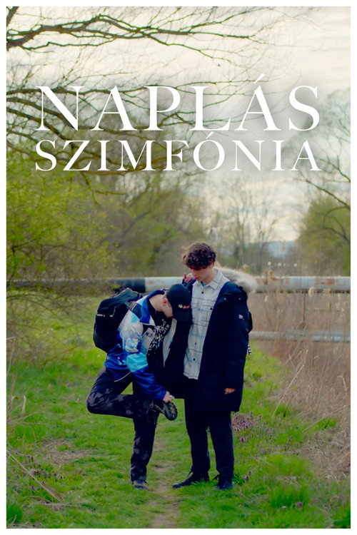 Movie poster for Naplás Szimfónia (2023)