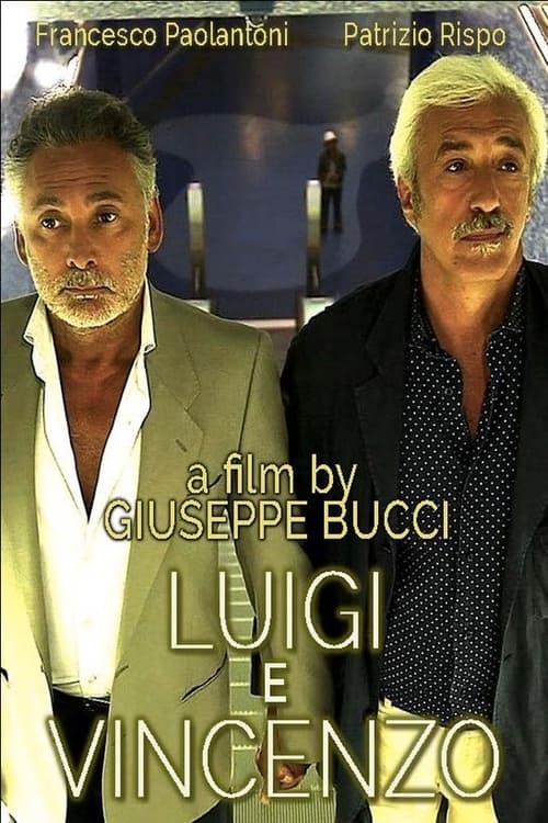 Movie poster for Luigi and Vincenzo (2013)