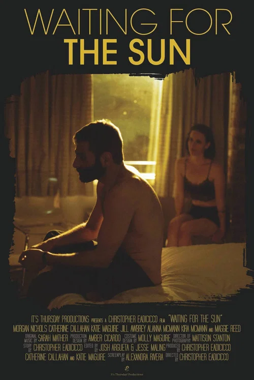 Movie poster for Waiting for the Sun (2016)