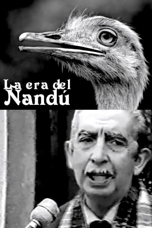 Movie poster for La era del ñandú (1986)