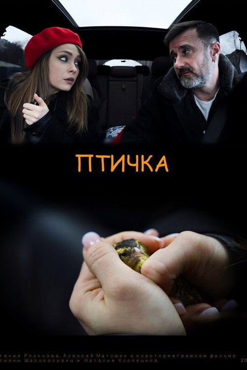 Movie poster for The Birdie (2024)