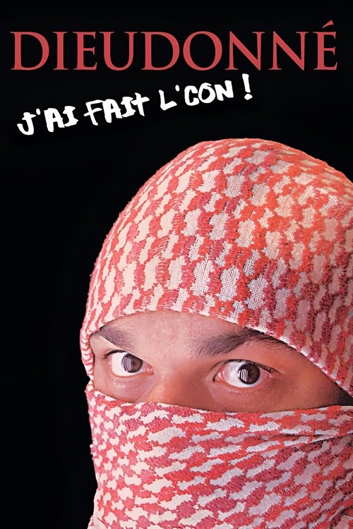 Movie poster for Dieudonné - J’ai fait l’con (2009)