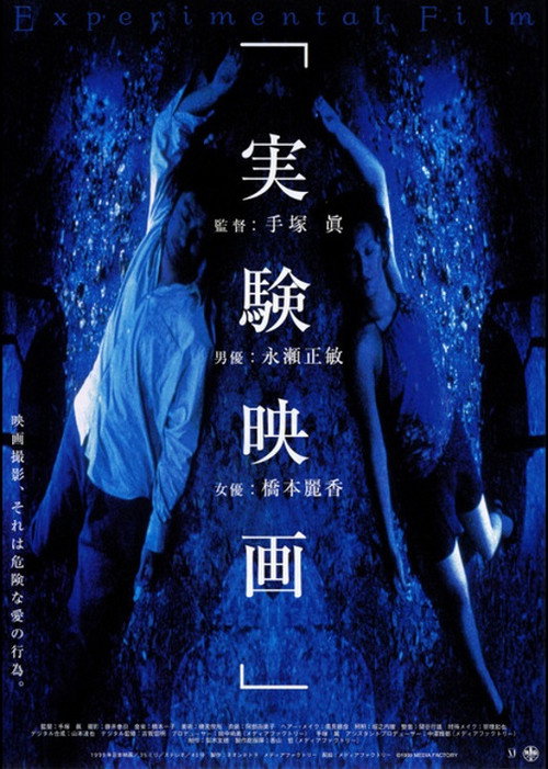 Movie poster for The Experimental Film (2000)