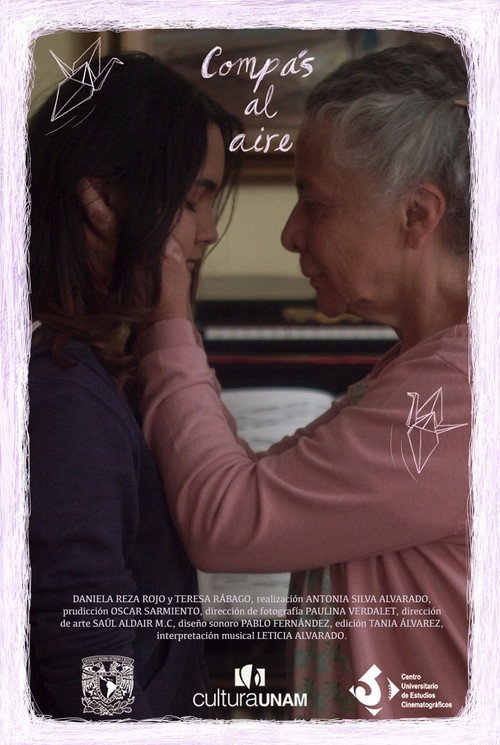 Movie poster for Compás al Aire (2019)