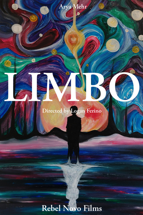 Movie poster for Limbo (2024)