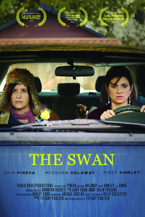 Movie poster for The Swan (2017)