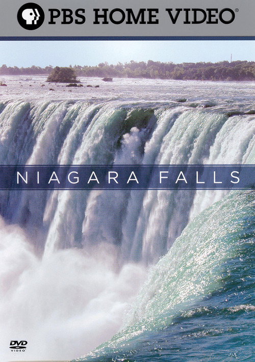 Movie poster for Niagara Falls (2006)