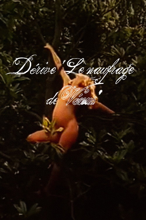 Movie poster for Dérive 'Le naufrage de Vénus' (1974)