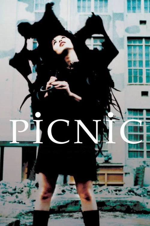 Movie poster for Picnic (1996)