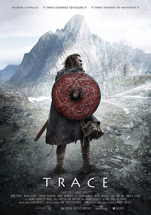 Movie poster for Trace (2016)