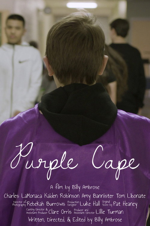 Movie poster for Purple Cape (2024)