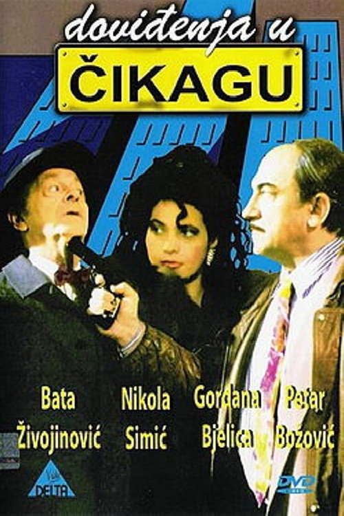 Movie poster for See You in Chicago (1996)