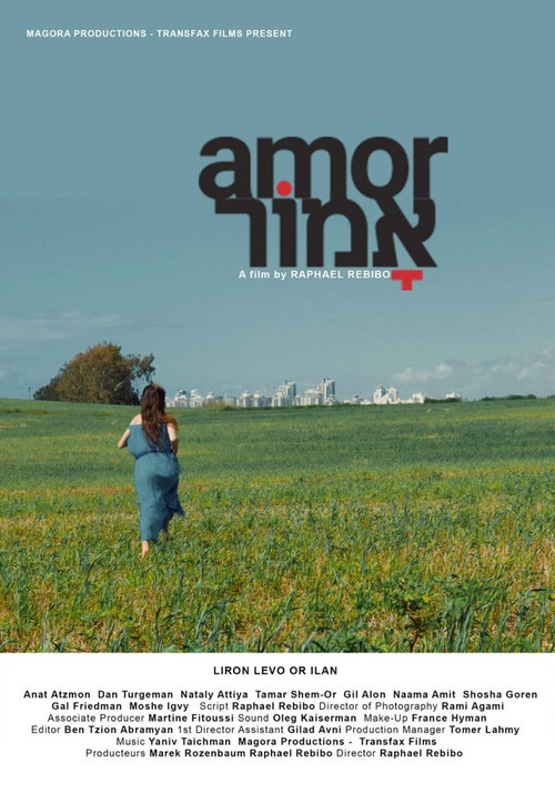 Movie poster for Amor (2016)