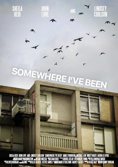 Movie poster for Somewhere I've Been (2022)