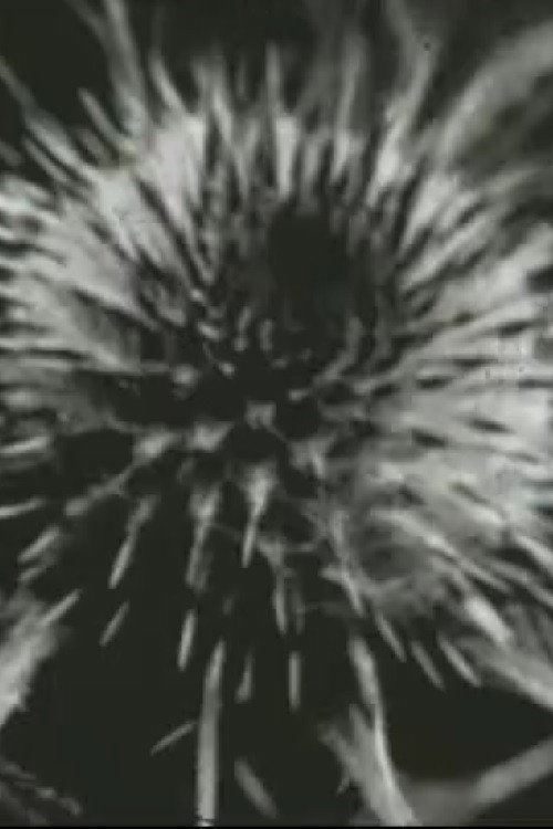 Movie poster for Scratch (1998)