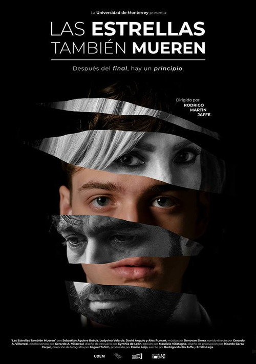 Movie poster for The Stars Also Die (2020)