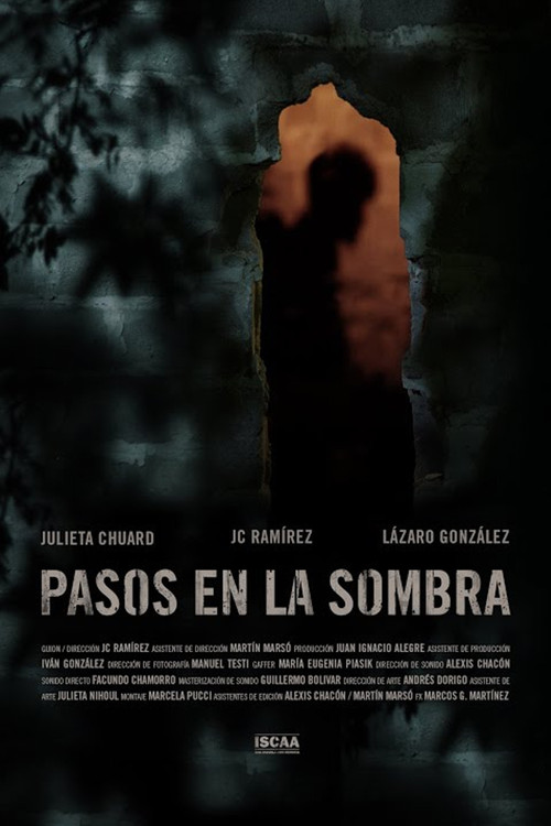 Movie poster for Pasos en la sombra (2020)
