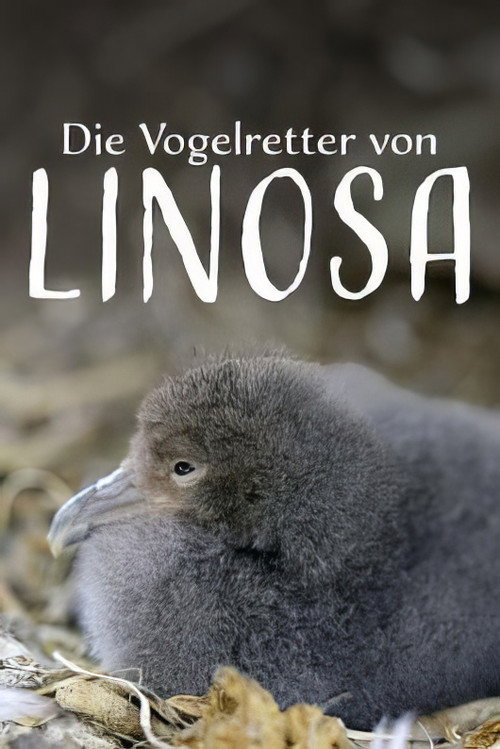 Movie poster for Die Vogelretter von Linosa (2025)
