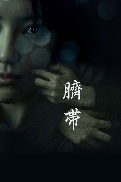 Movie poster for Birthright (2010)