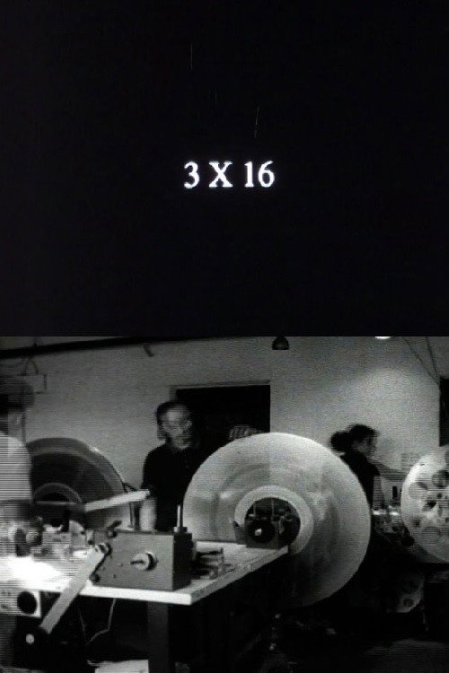 Movie poster for 3 x 16 (2007)