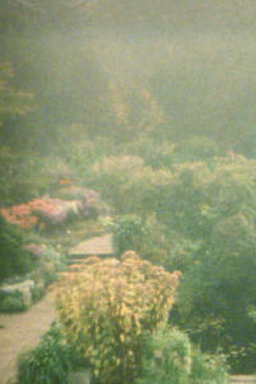 Movie poster for In the Garden (2002)