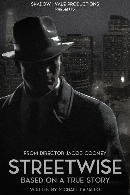 Movie poster for Streetwise