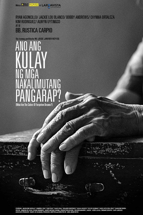 Movie poster for Ano ang Kulay ng mga Nakalimutang Pangarap? (2013)