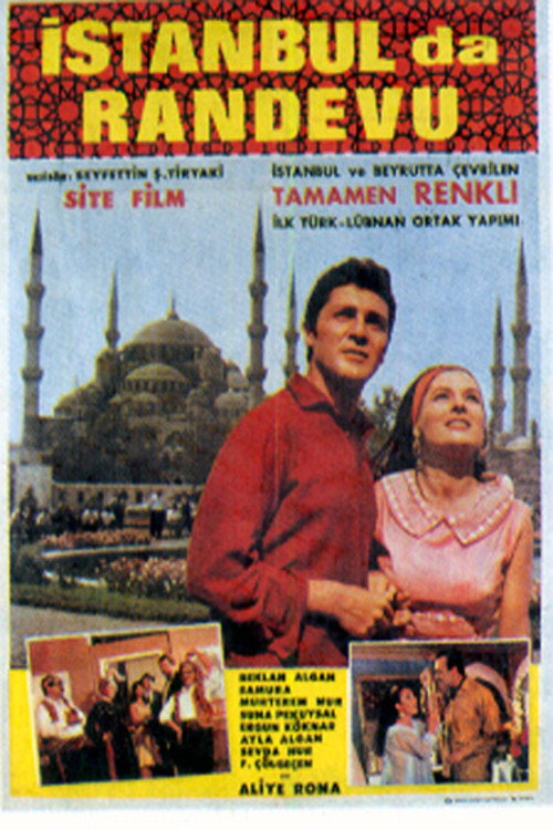 Movie poster for Love in Istanbul (1966)