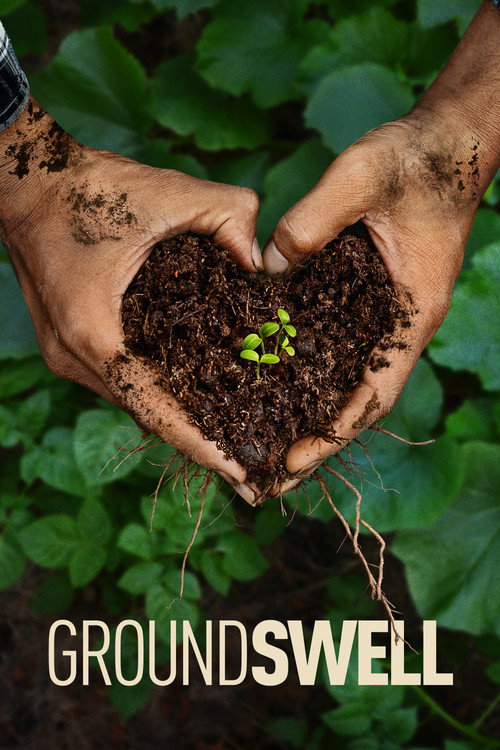 Movie poster for Groundswell (2026)