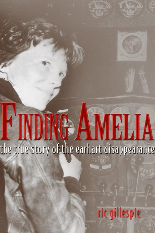 Movie poster for Finding Amelia (2010)