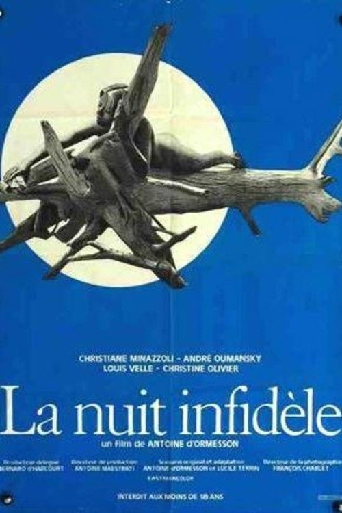 Movie poster for Unfaithful Night (1968)