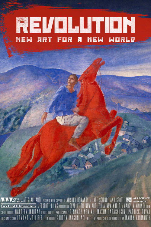 Movie poster for Revolution: New Art for a New World (2017)