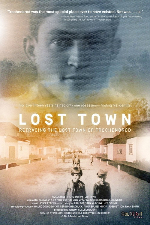 Movie poster for Lost Town (2013)