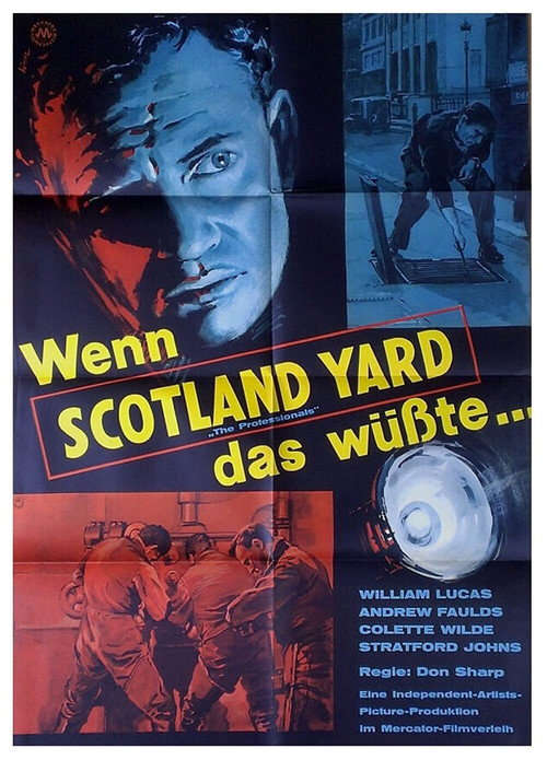 Movie poster for The Professionals (1960)