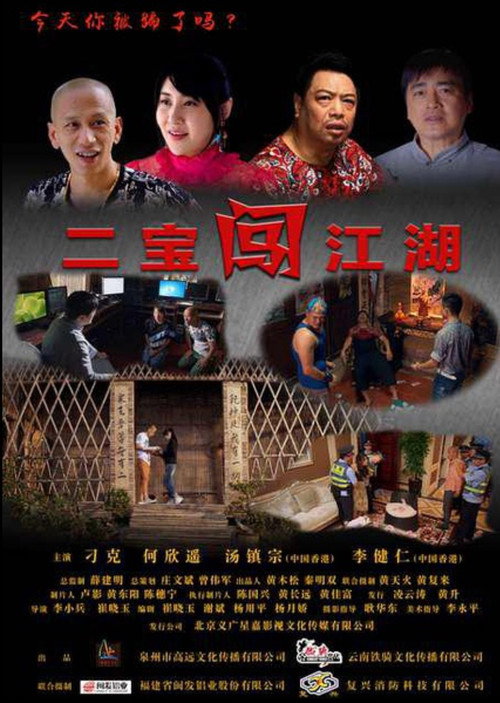 Movie poster for 二宝闯江湖 (2017)