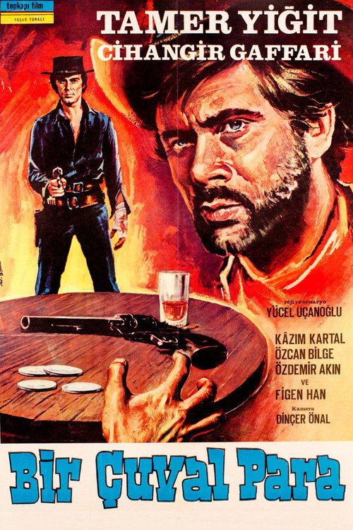 Movie poster for Bir Çuval Para (1970)