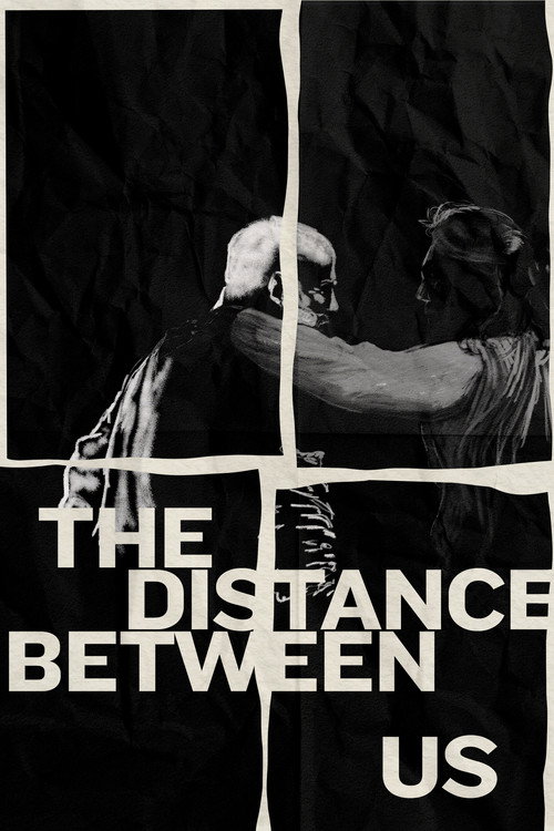 Movie poster for The Distance Between Us (2024)