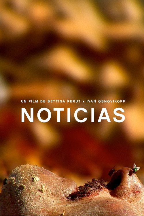 Movie poster for Noticias (2009)